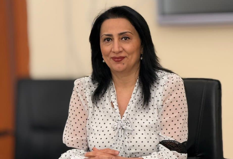 Ekspert: Qeyri-neft sektorunun inkişafı və iqtisadiyyatın şaxələndirilməsi neftin bahalaşması dövründə əsas prioritetdir